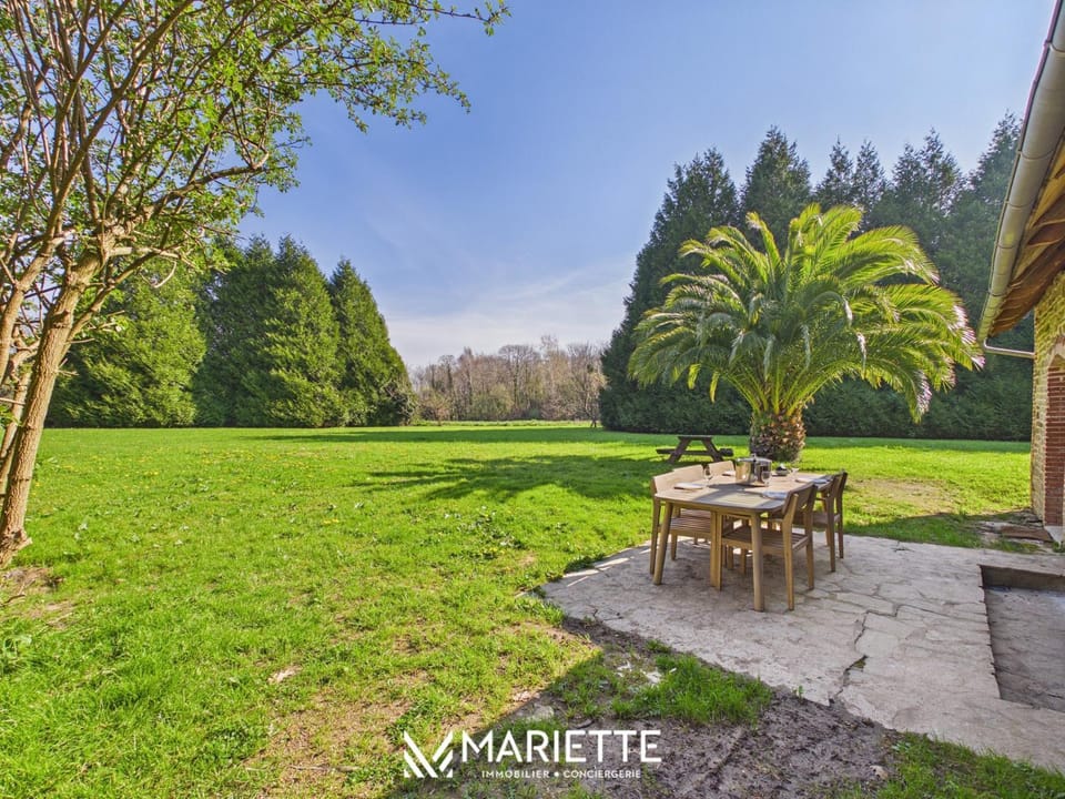 Patio, Garden, Garden view