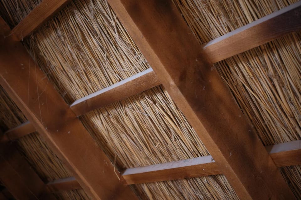 Traditional Ukrainian Thatch House with Modern Luxury House in Ukraine