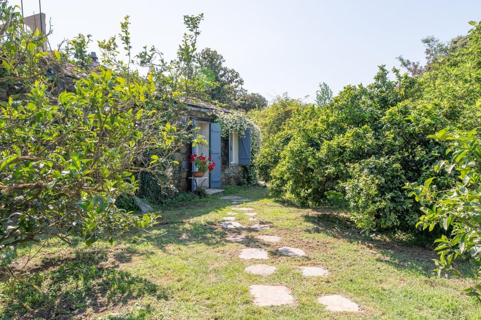 Havre de paix L'olettese House in Oletta