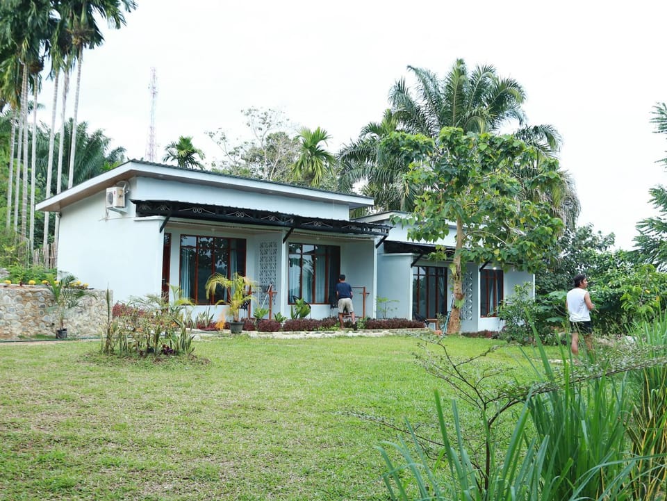 Property building, Garden, Garden view, Garden view
