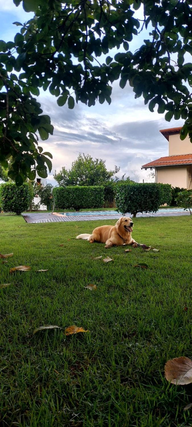 Natural landscape, Garden, Garden view, pet friendly