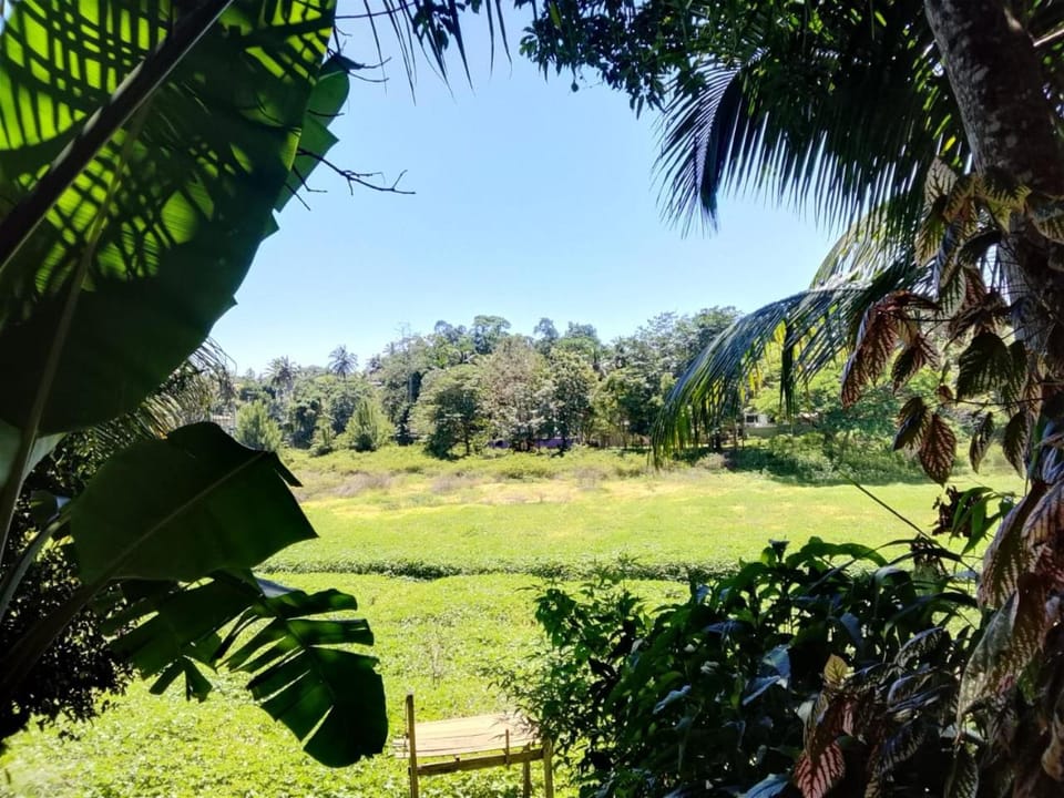Tha Ivory villa Villa in Gangawatakorale