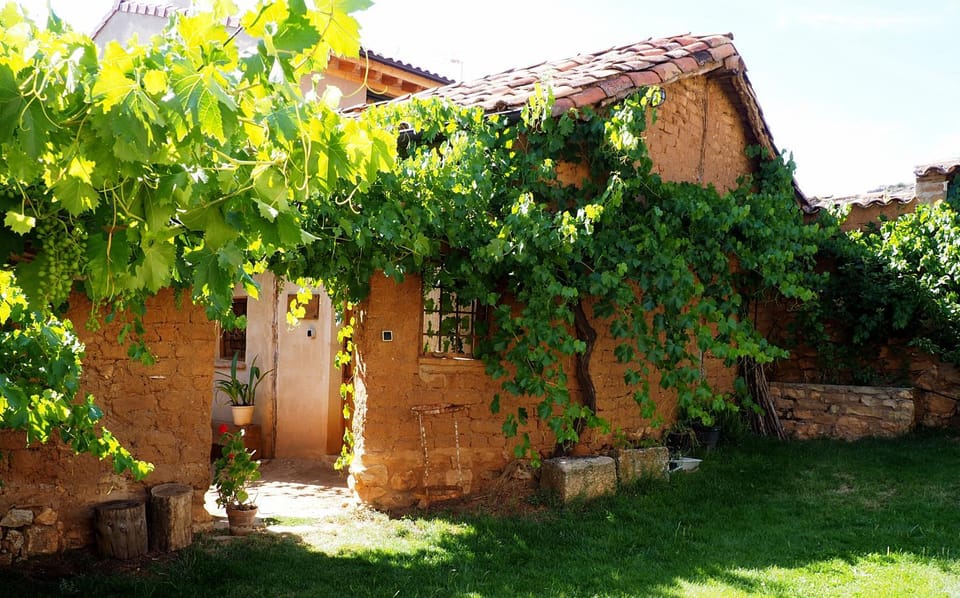 Patio, Garden