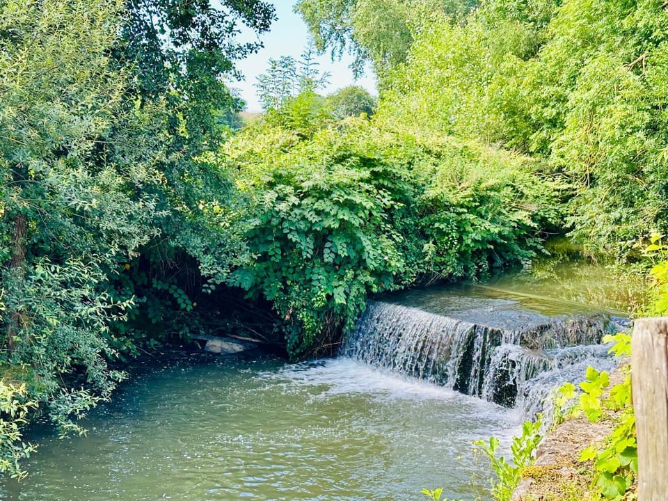 River view