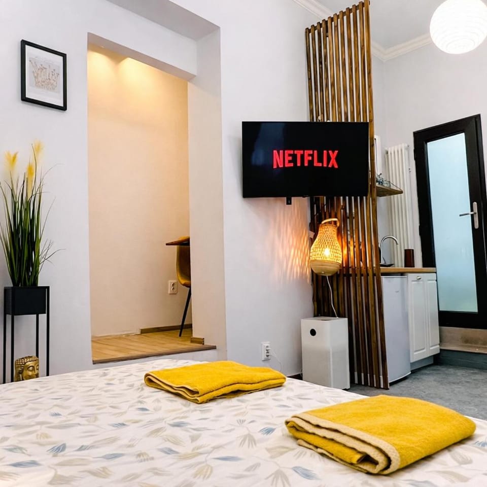 Central New Studio Apartment in Cluj-Napoca