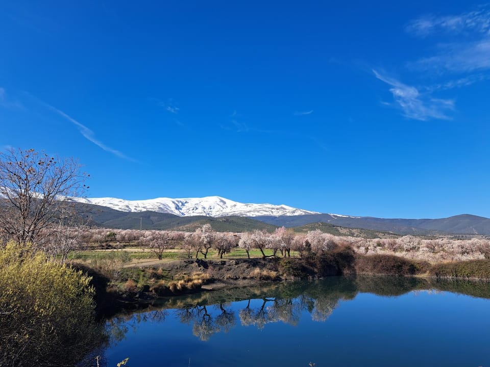 Casa Rural La Balsa Bed and Breakfast in Andalusia