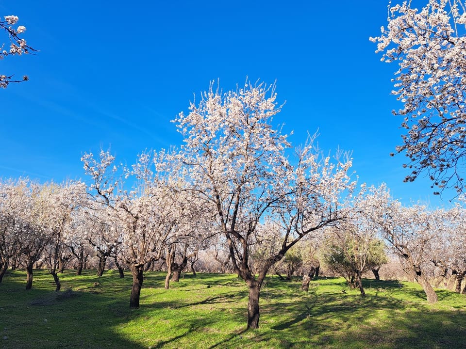Casa Rural La Balsa Bed and Breakfast in Andalusia