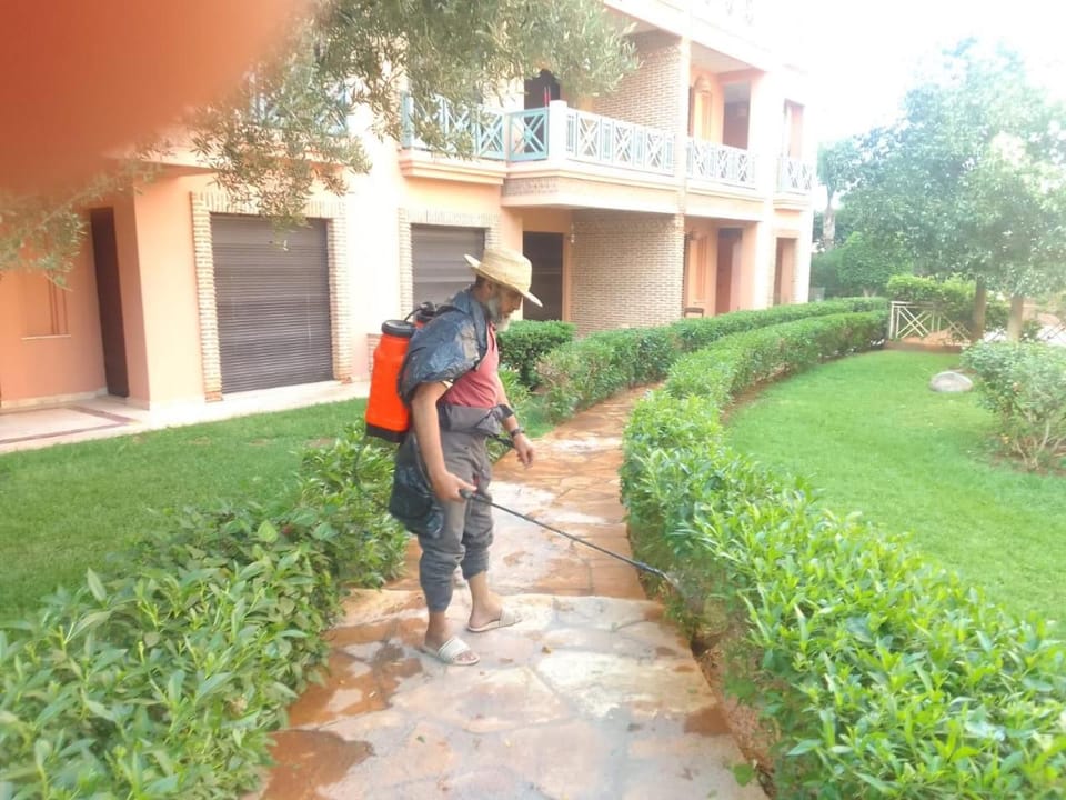 Property building, Garden