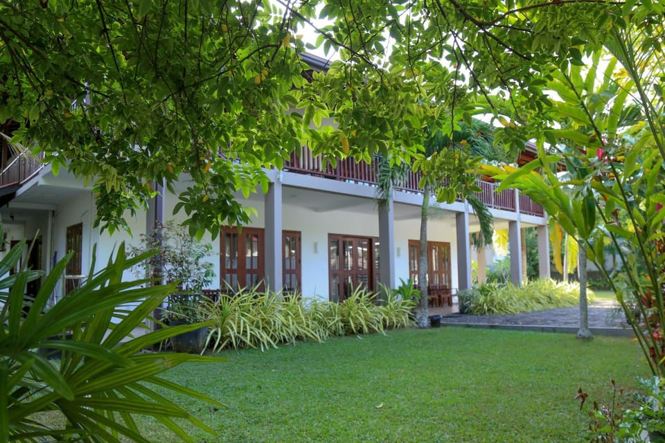 Property building, Garden, Garden view