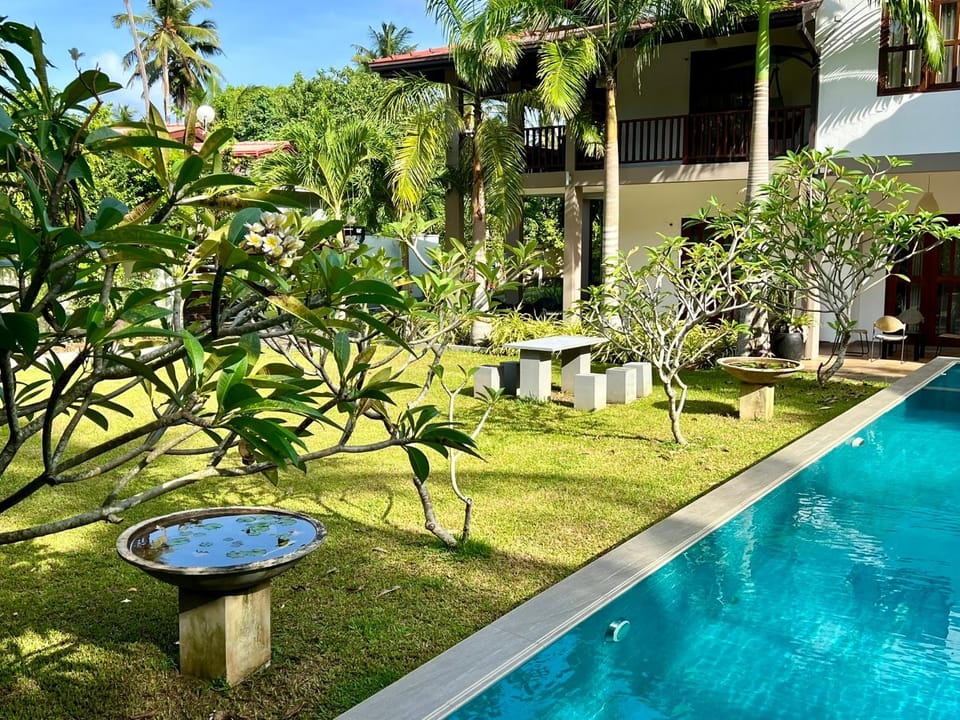 Garden, Pool view, Swimming pool, sunbed