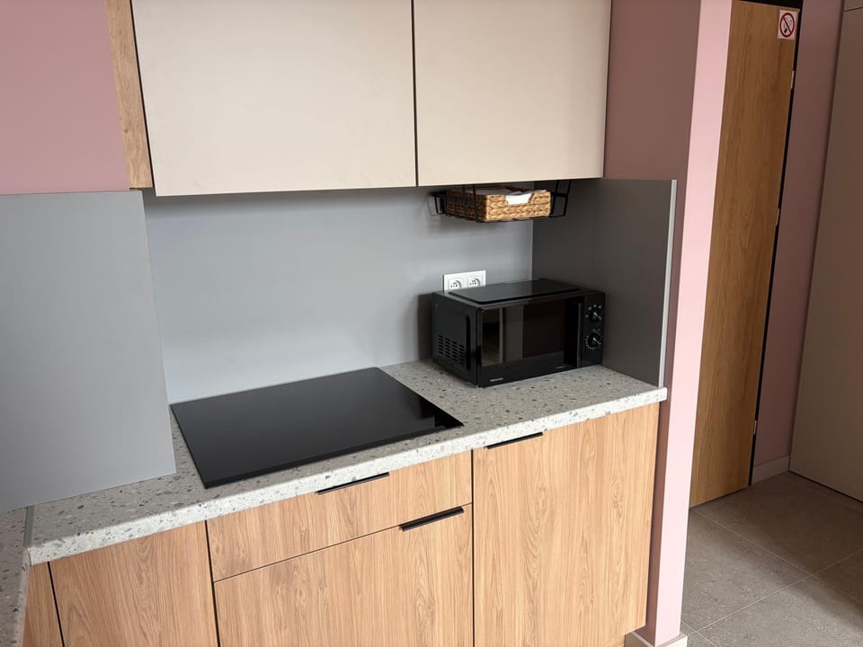 Kitchen or kitchenette, microwave, stove