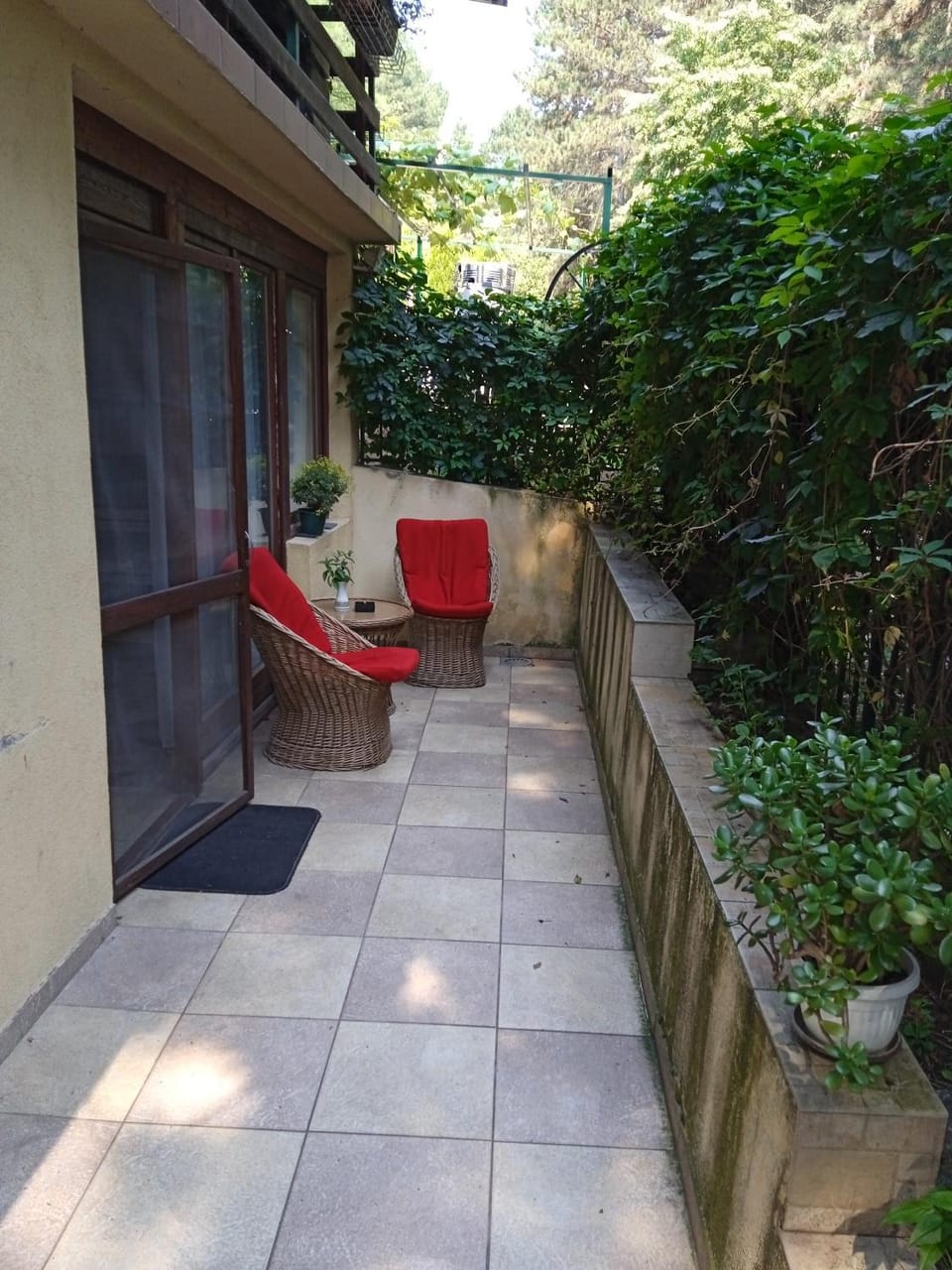 Garden view