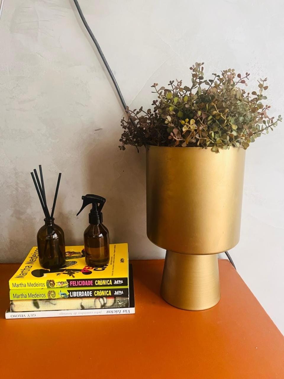Charme Umarizal Apartment in Belém