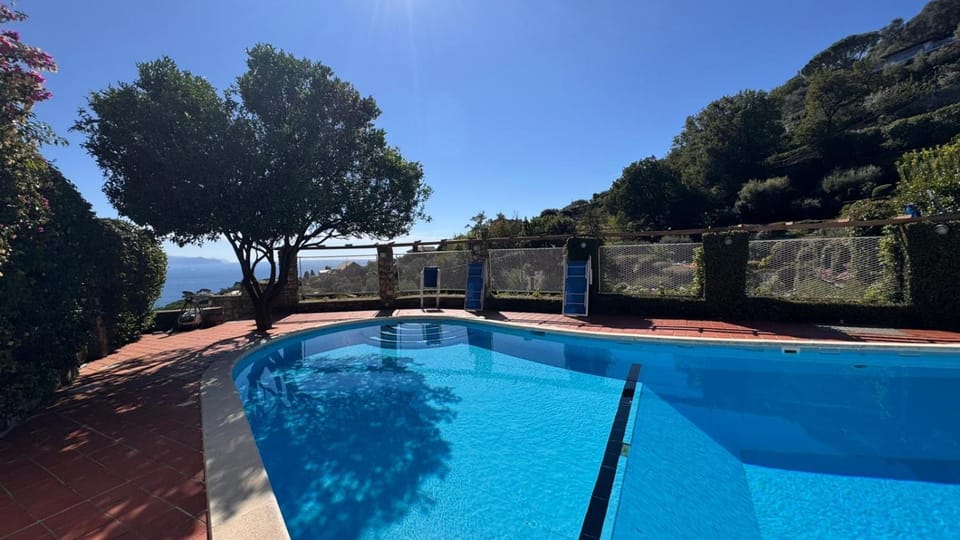 Swimming pool, Open Air Bath