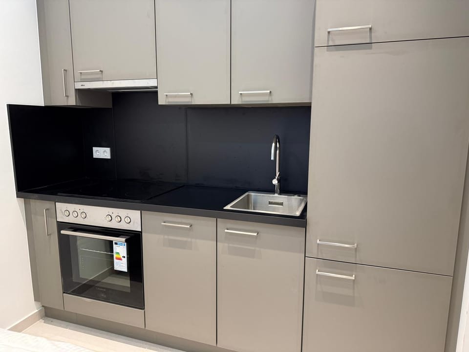 Central Renovated Premium Apartment with Free Parking Apartment in Vienna