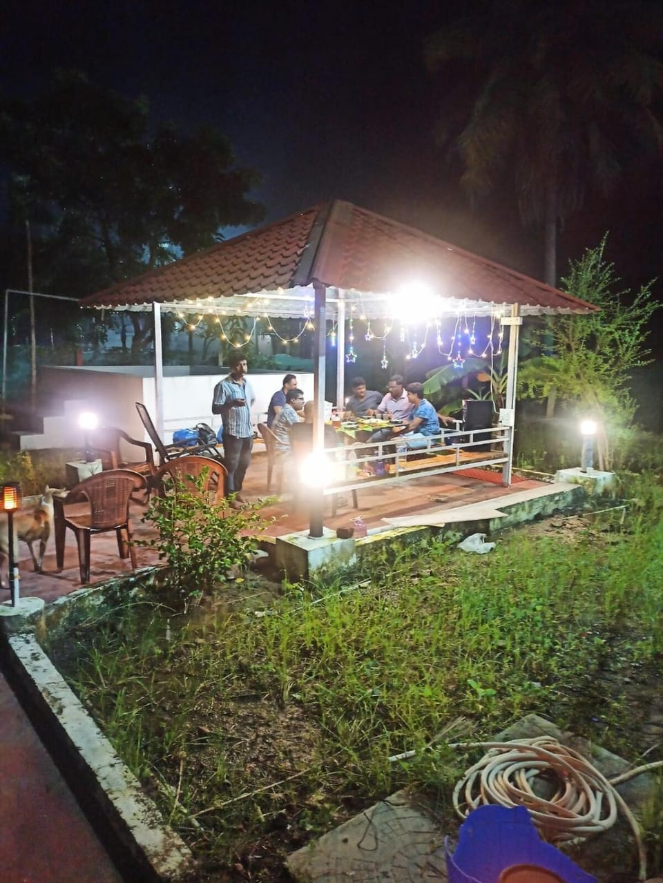 Night, Garden, Garden view