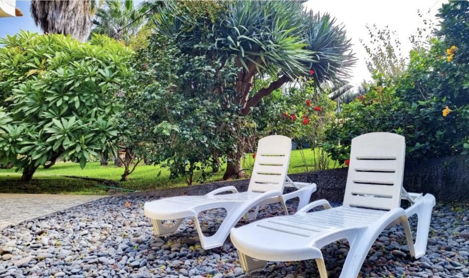 Spring, Day, Garden, Garden view, sunbed