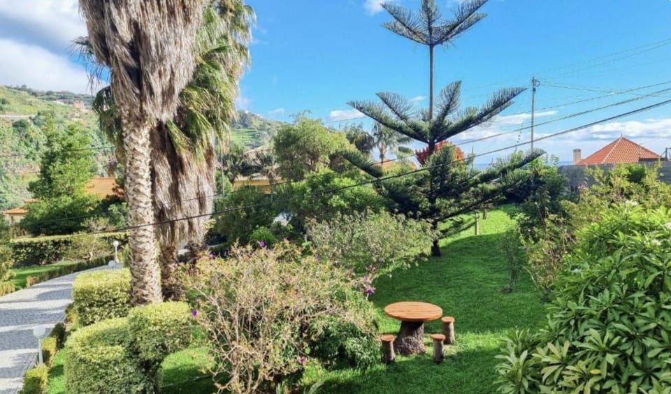 Spring, Day, Natural landscape, Garden, Garden view
