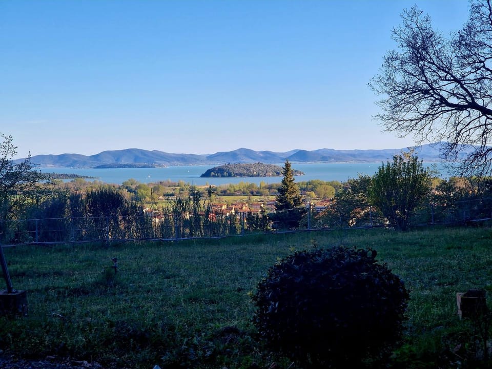 Lake view