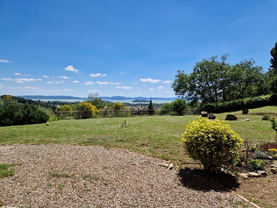Spring, Day, Natural landscape, Garden, Garden view, Lake view