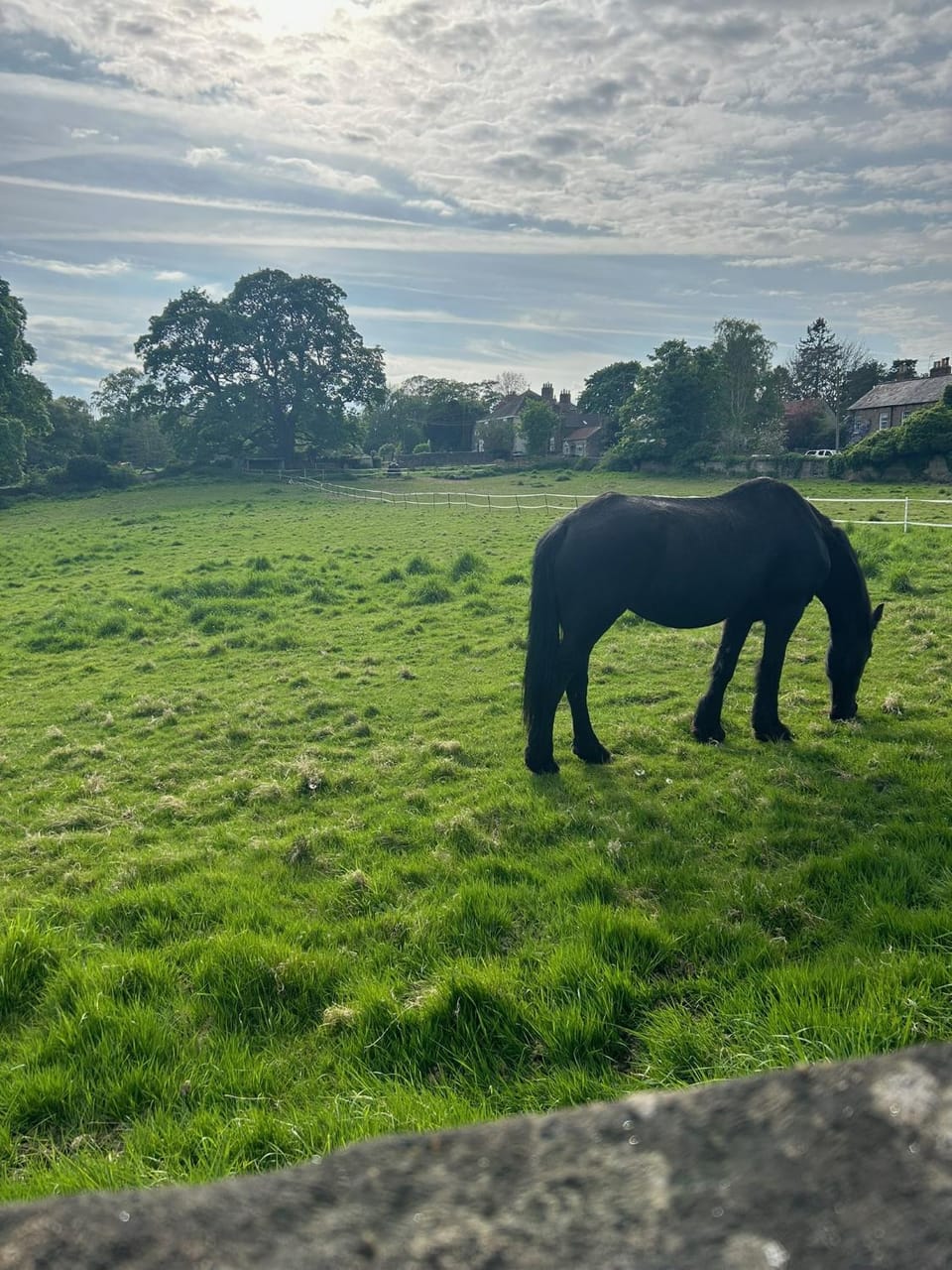 The Pink House Bed and Breakfast in Ripon