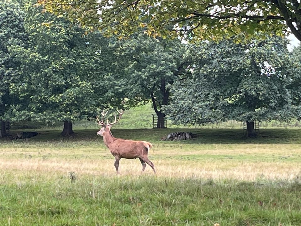 The Pink House Bed and Breakfast in Ripon