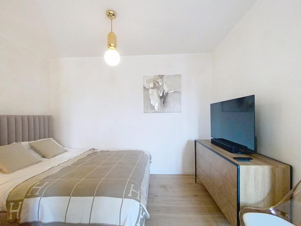Elegant Apartment in Central Cannes Apartment in Cannes