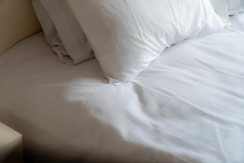 Casa do Paçô - Cabeceiras de Basto Farm Stay in Vila Real District