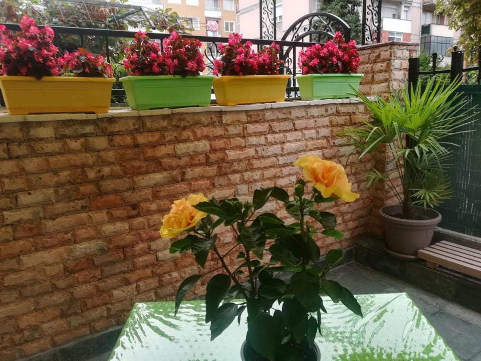 Dahlia Apartment Apartment in Ohrid