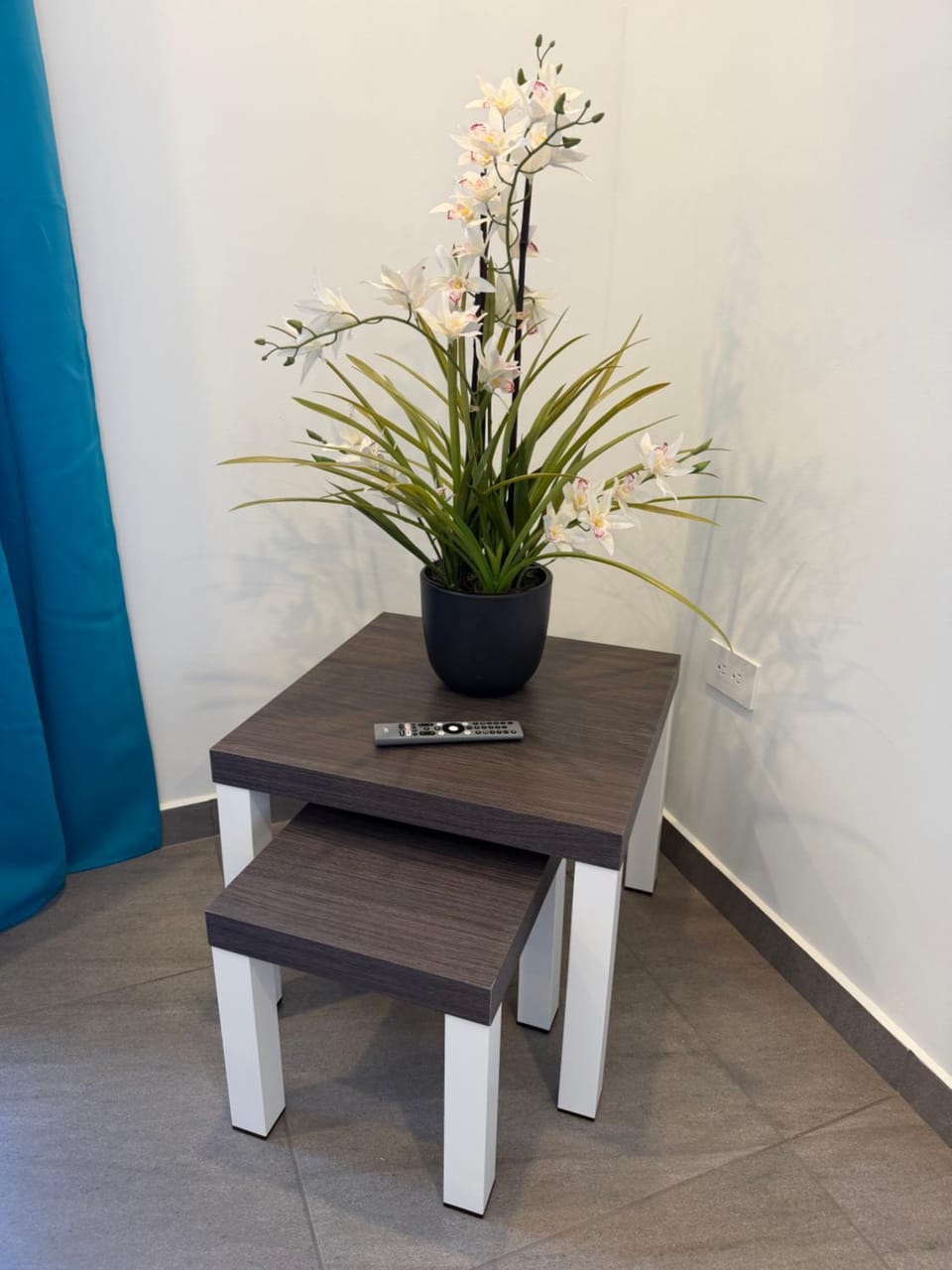 Luxury 2-BR Apartment nr 4 Apartment in Noord
