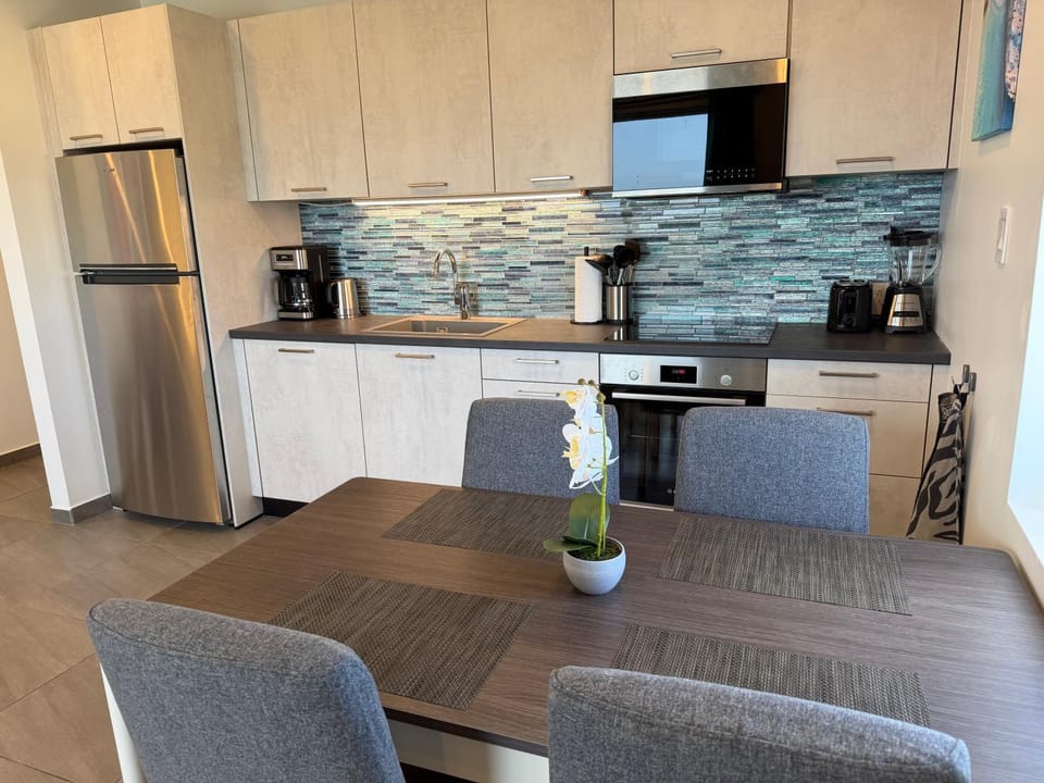 Luxury 2-BR Apartment nr 4 Apartment in Noord