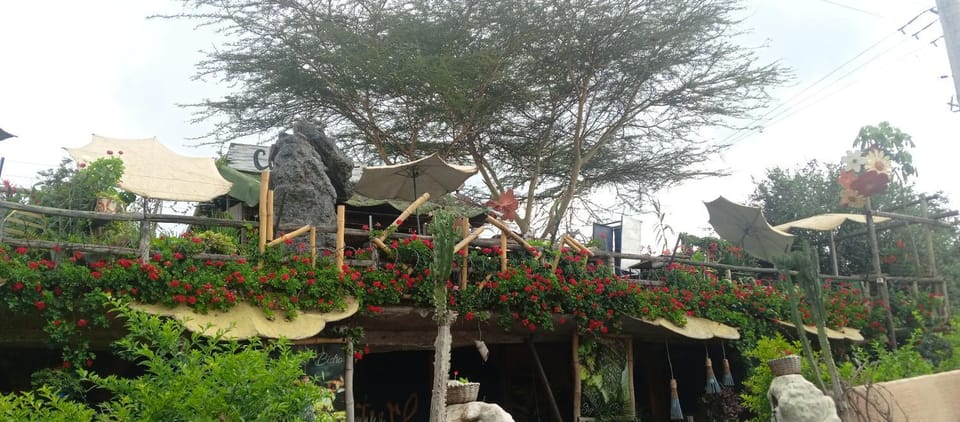 the geranium a 7 all ensuite bedroom home House in Kenya