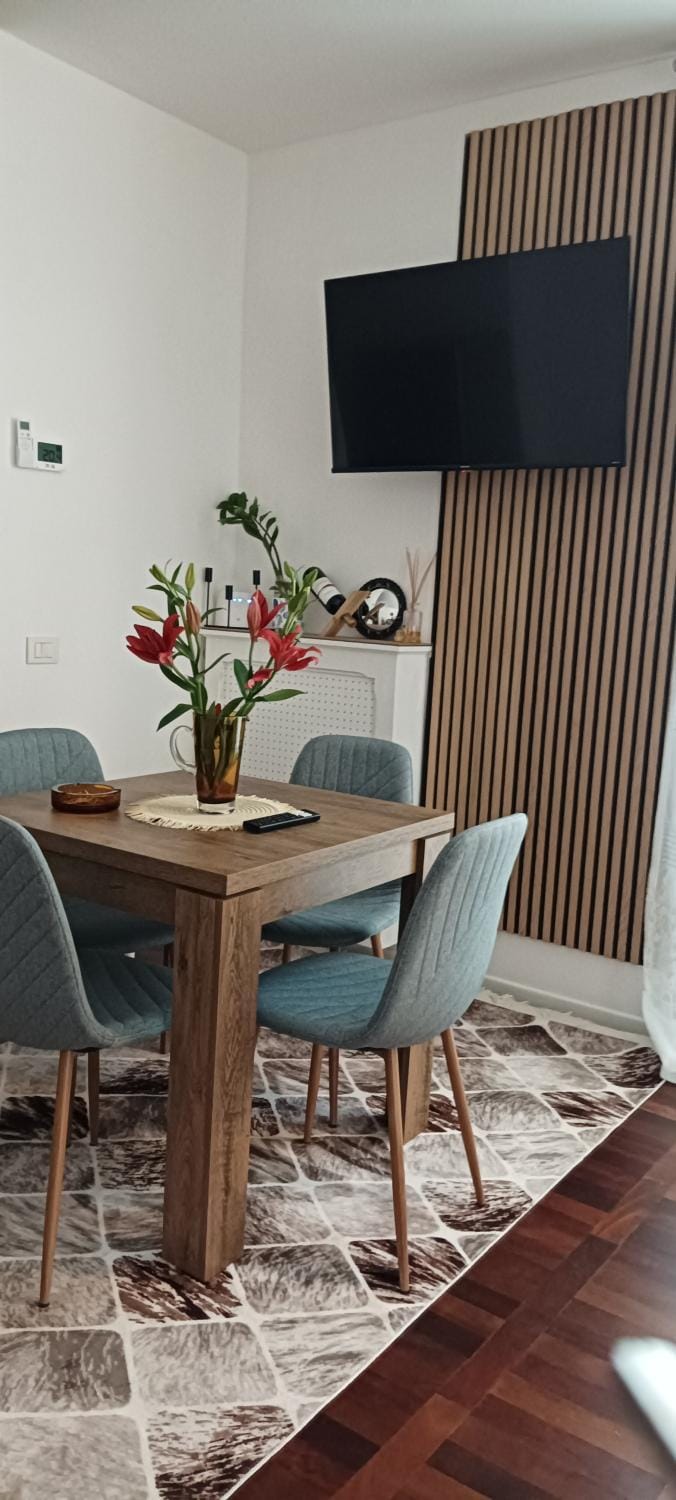 TV and multimedia