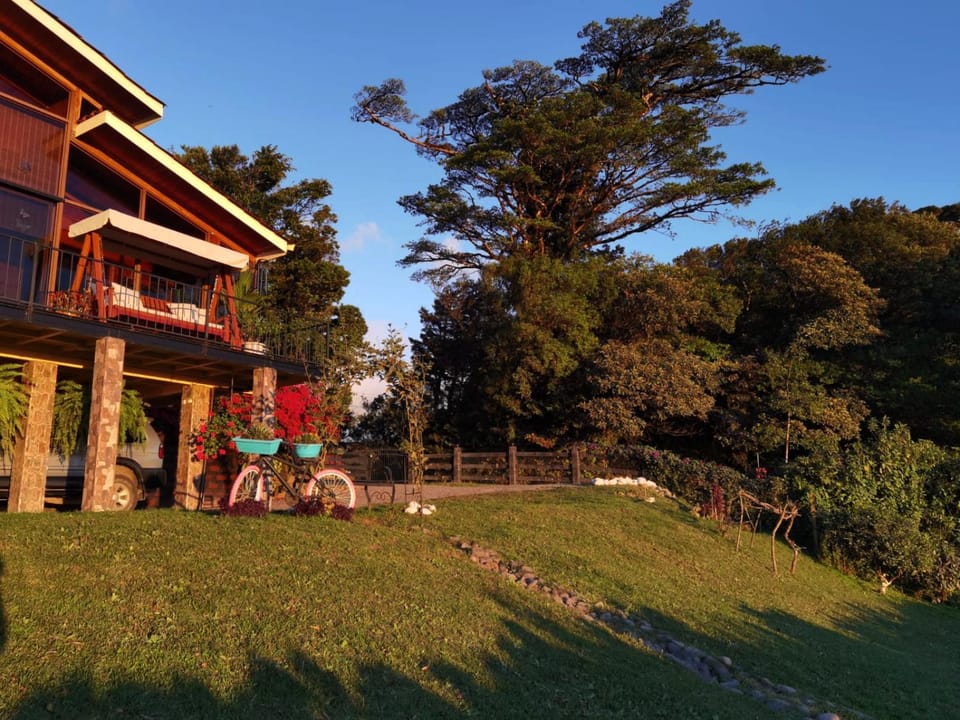 Property building, Day, Natural landscape, Garden, Inner courtyard view