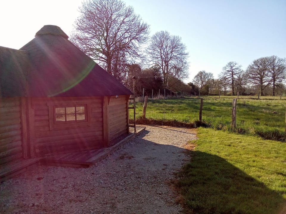 kota en Normandie Nature lodge in Normandy