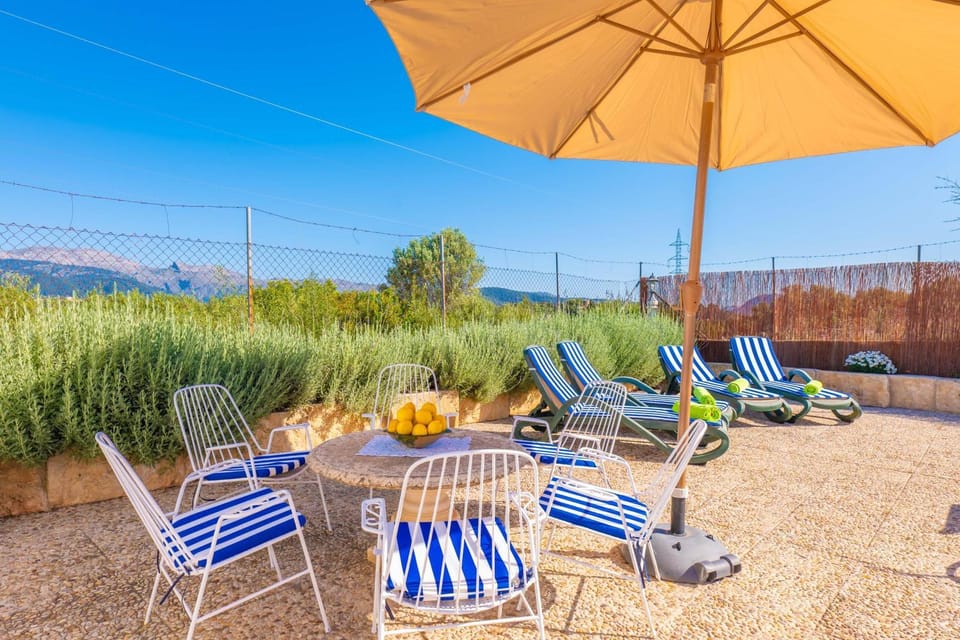 Patio, Other