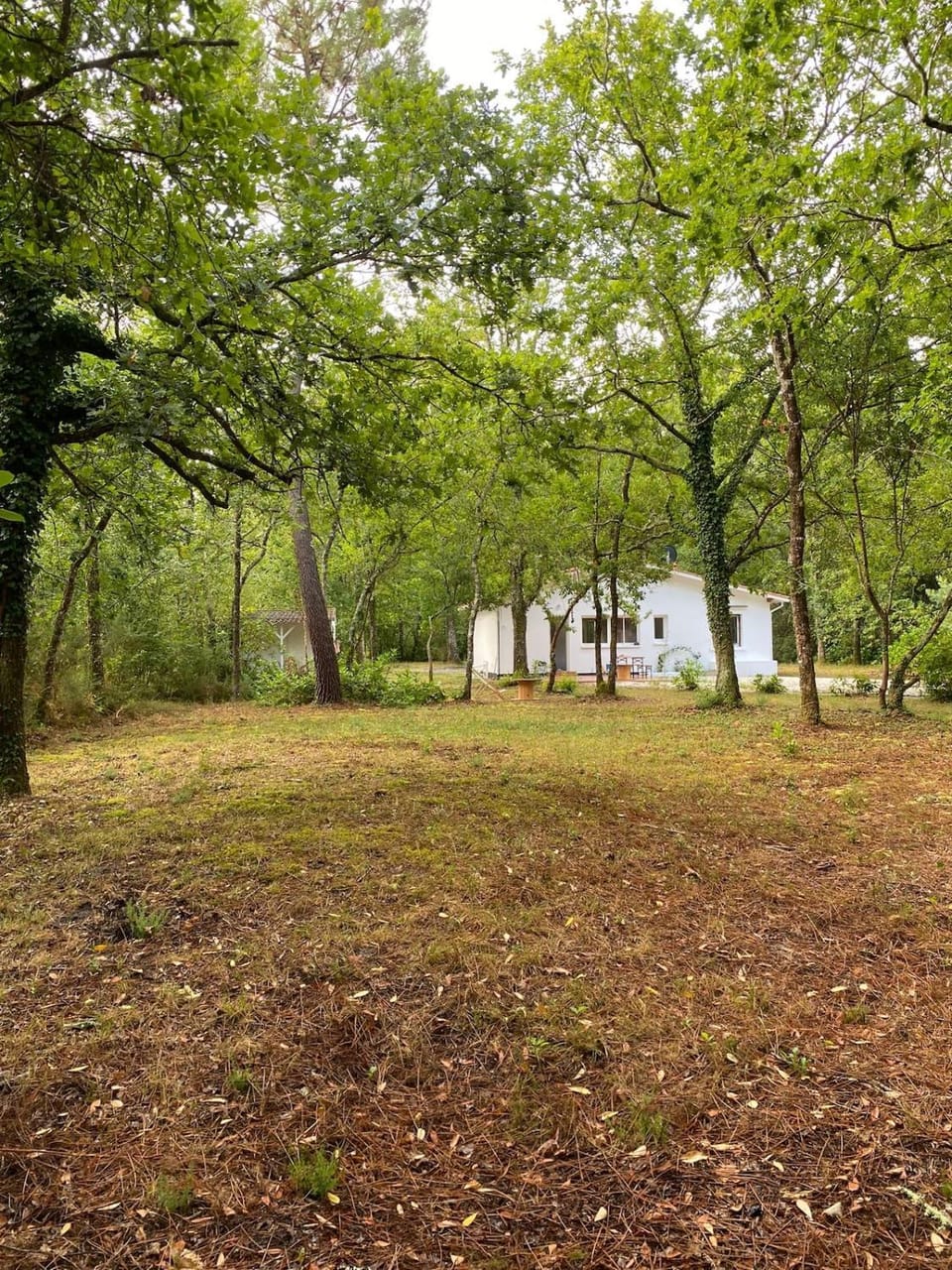Maison nature et océan, Calme et forêt House in Hourtin