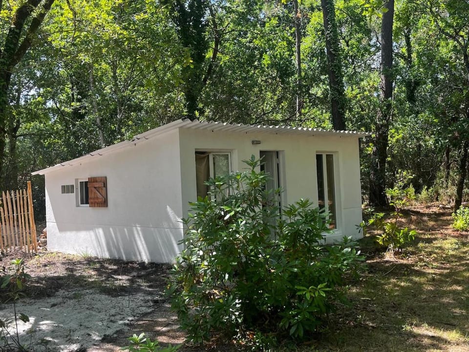 Maison nature et océan, Calme et forêt House in Hourtin