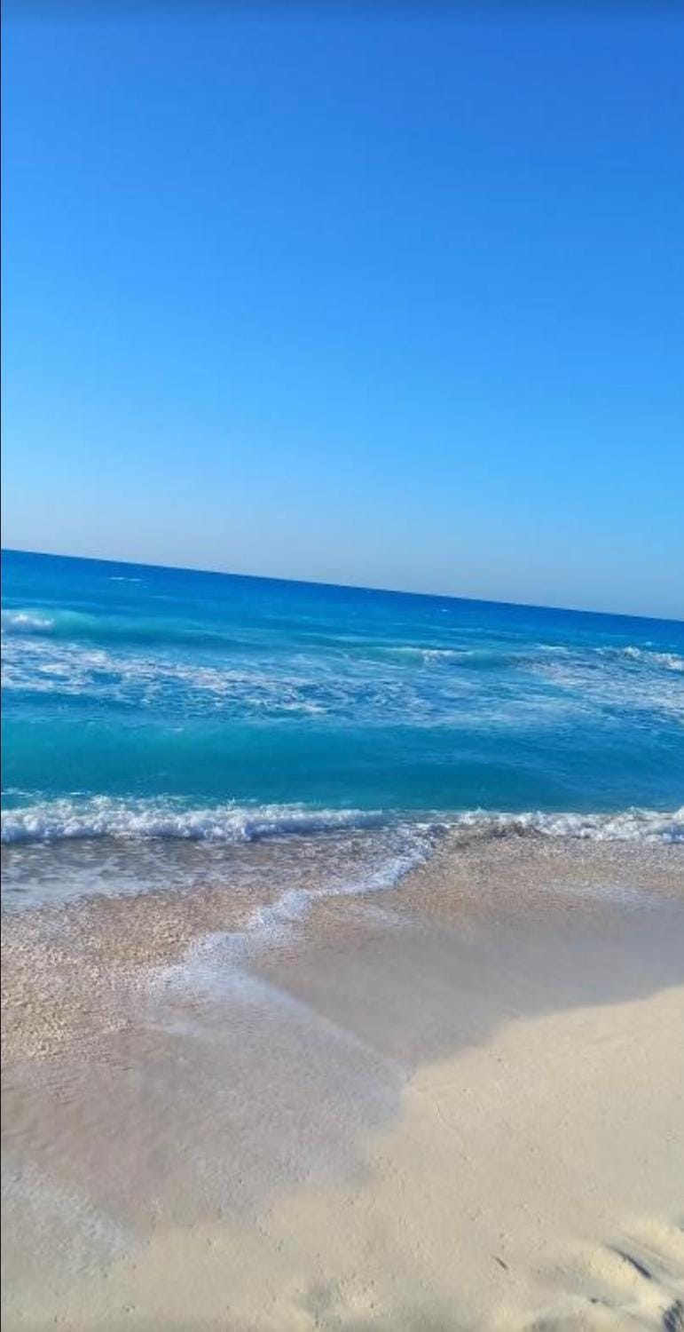 Day, Natural landscape, Beach, Beach, sunbed
