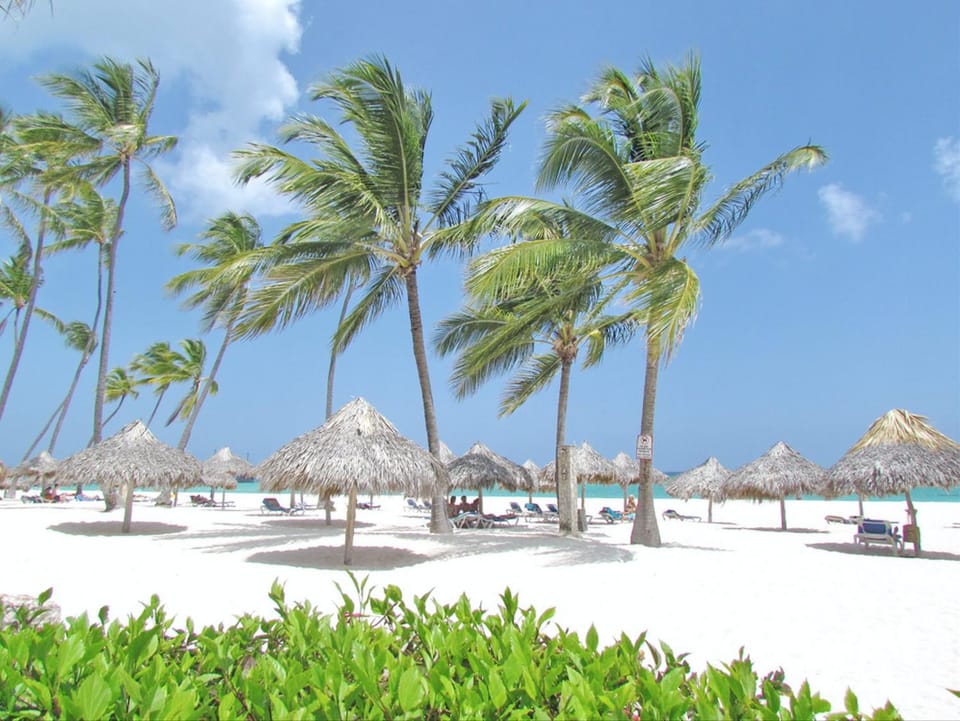 Nearby landmark, Day, Natural landscape, Beach, Sea view, sunbed
