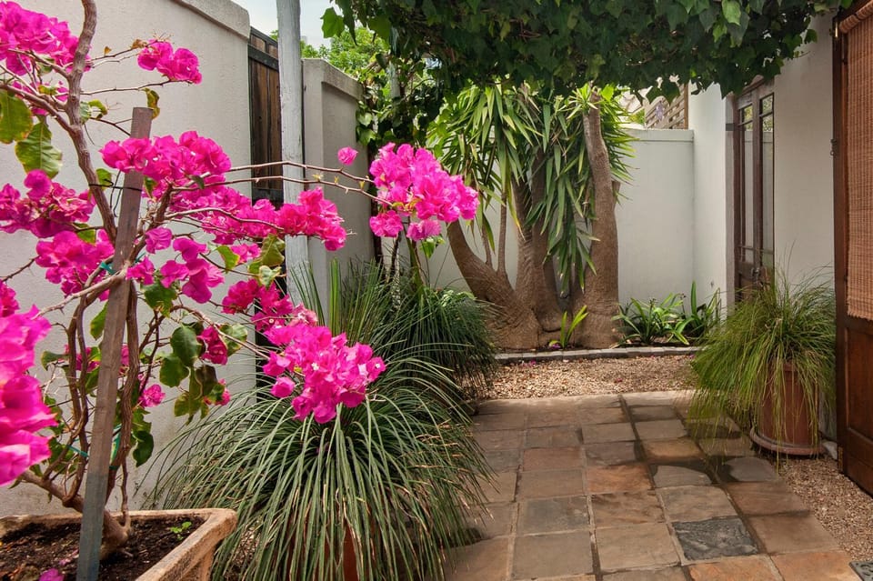 Windsong Cottage House in Hermanus