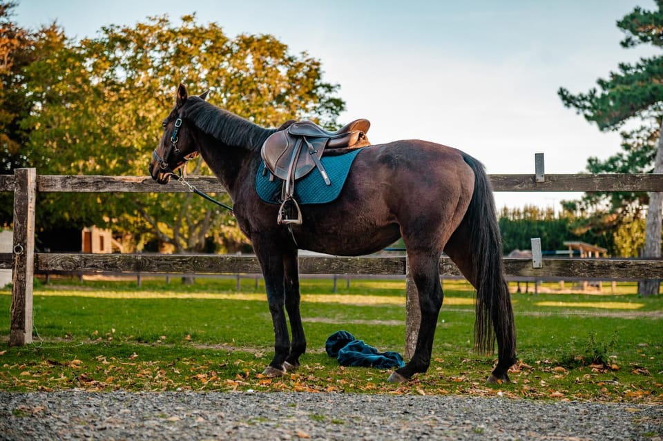 Horse-riding