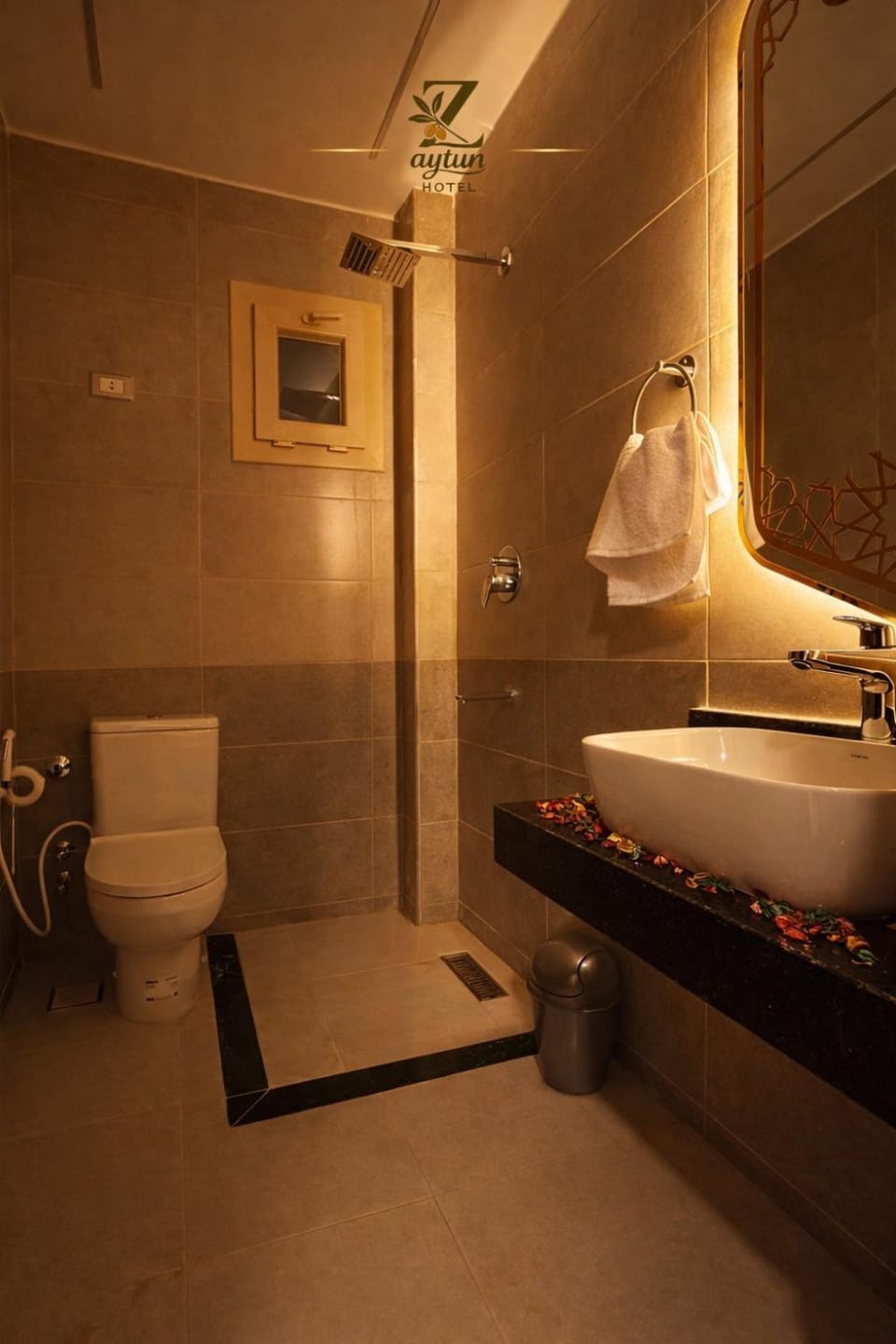 Shower, Toilet, towels