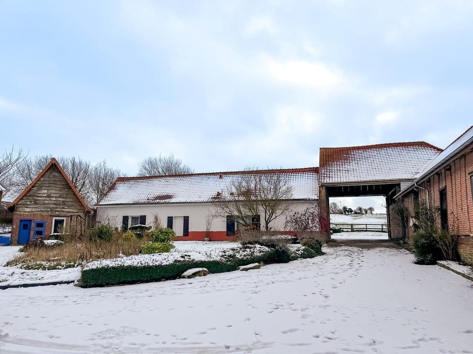 Property building, Day, Winter