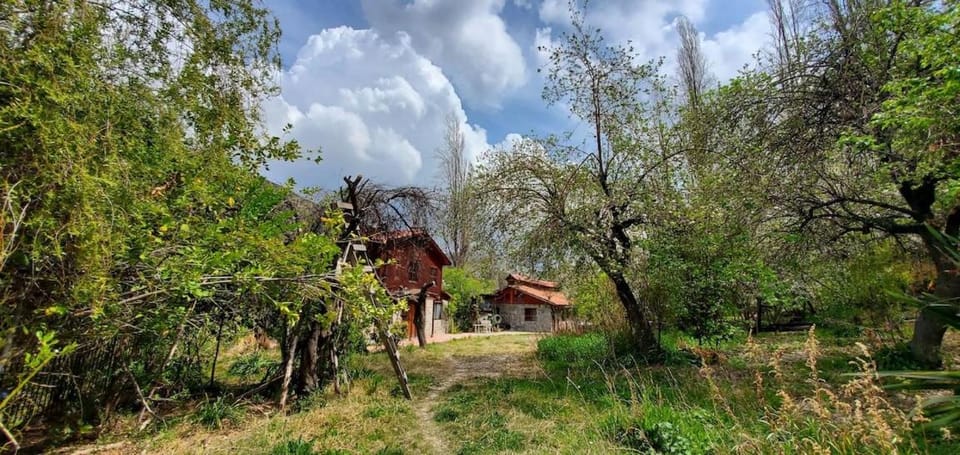 Natural landscape, Garden, Garden view