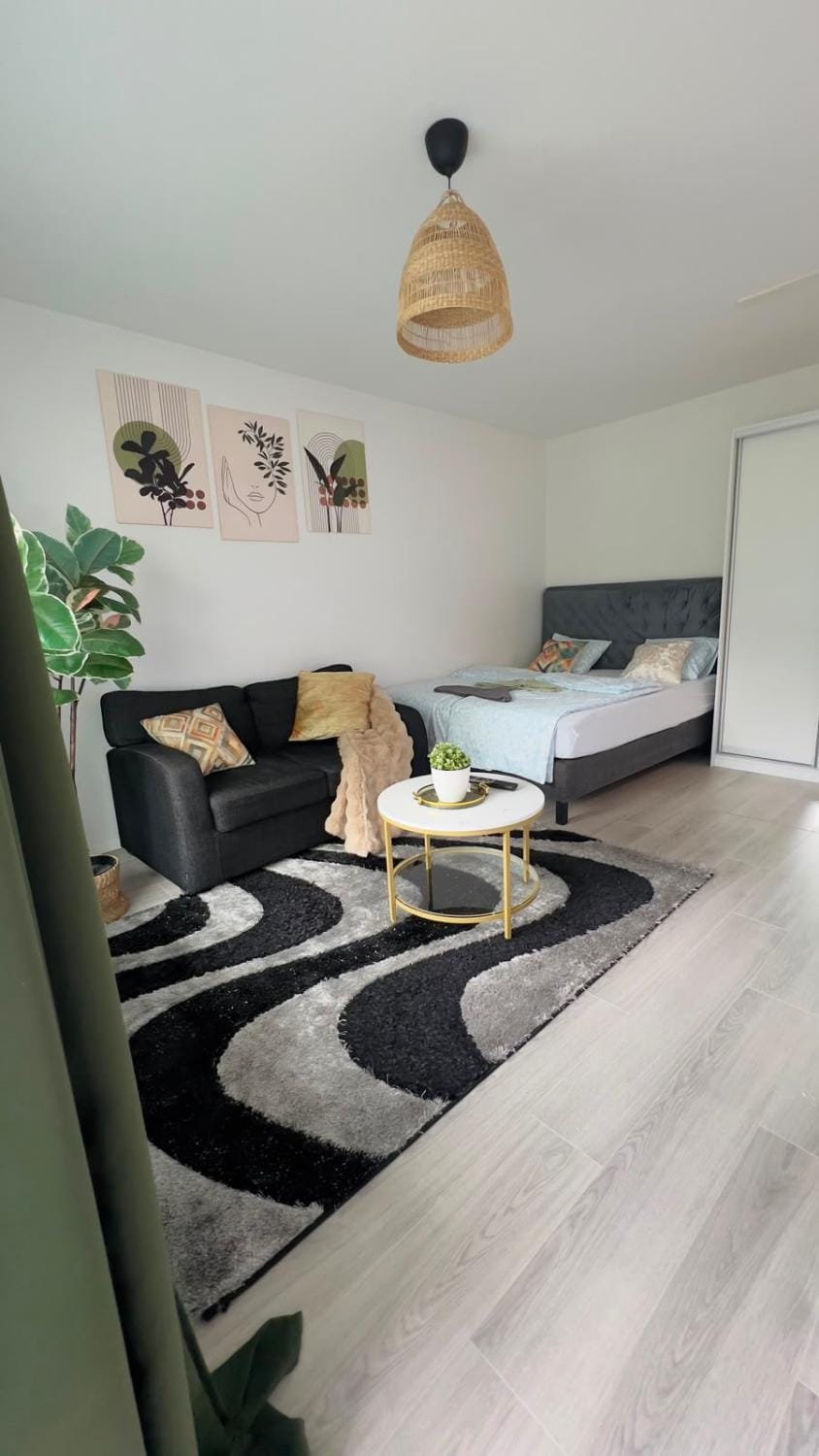 Bed, Living room, Photo of the whole room, Seating area, Bedroom