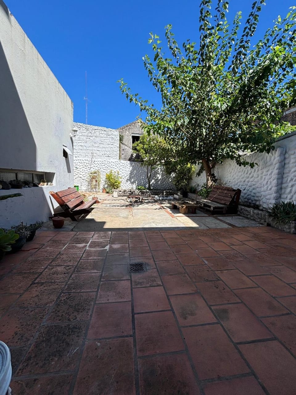 Patio, Spring, Day, Garden, Garden view
