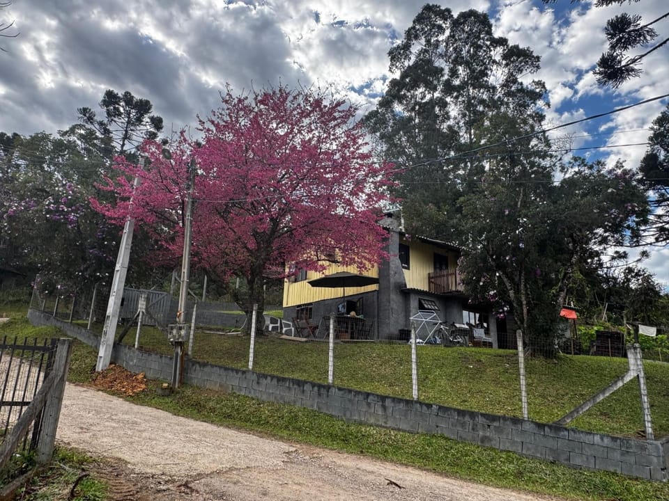 Quiet street view