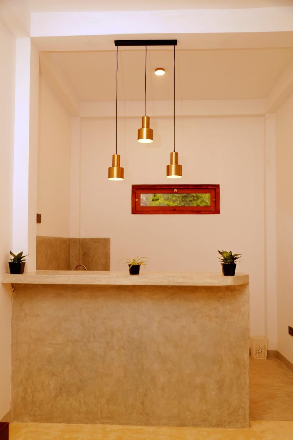 Kitchen or kitchenette, kitchen