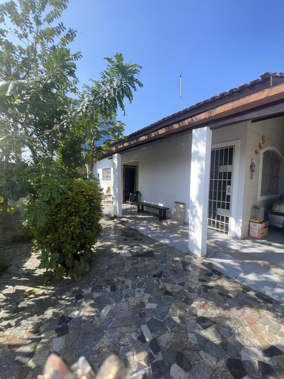 Day, Garden